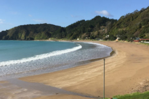 Paihia Beach